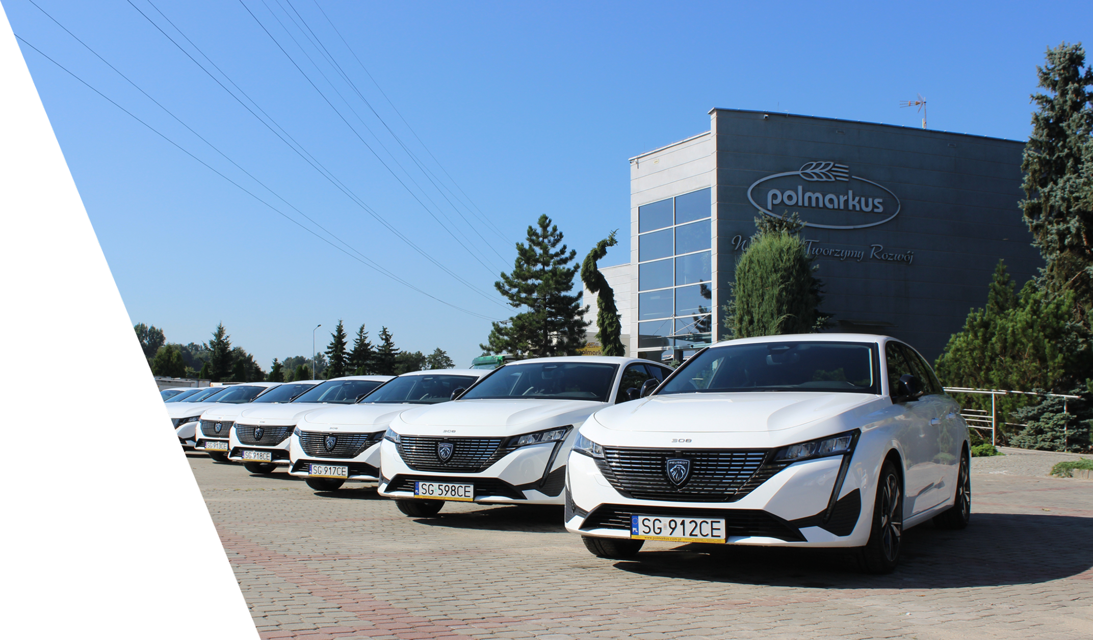 Row of cars parked in front of the Polmarkus company building