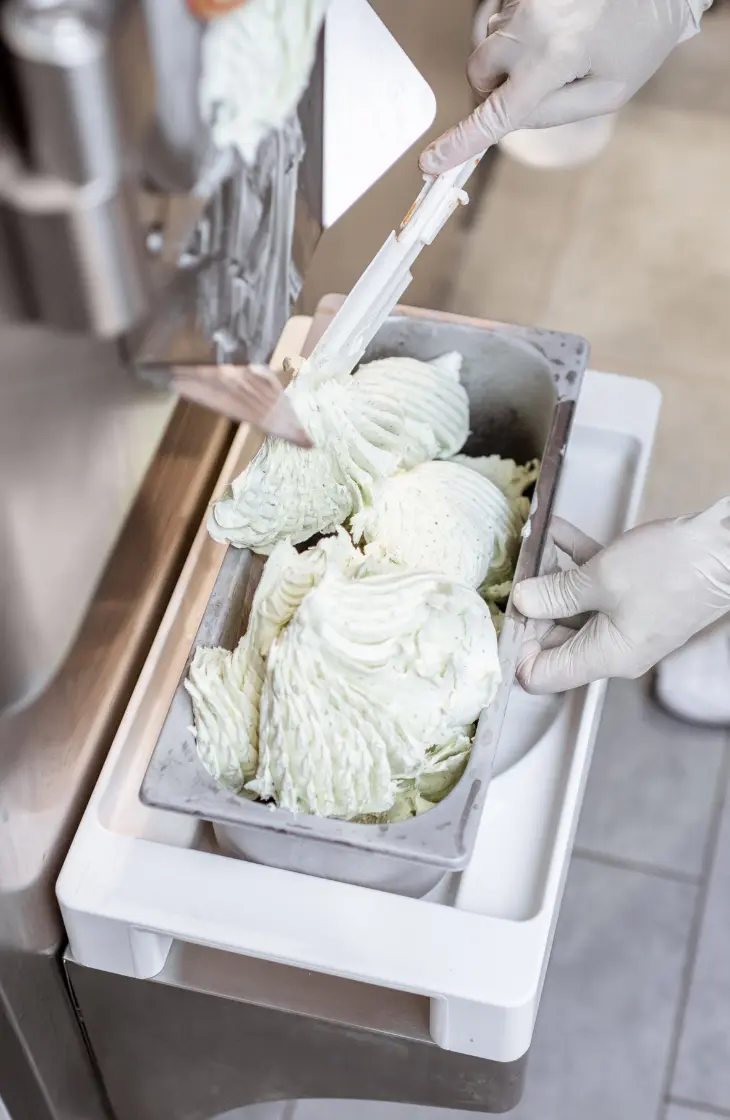 Ingredients for Ice Cream Parlors